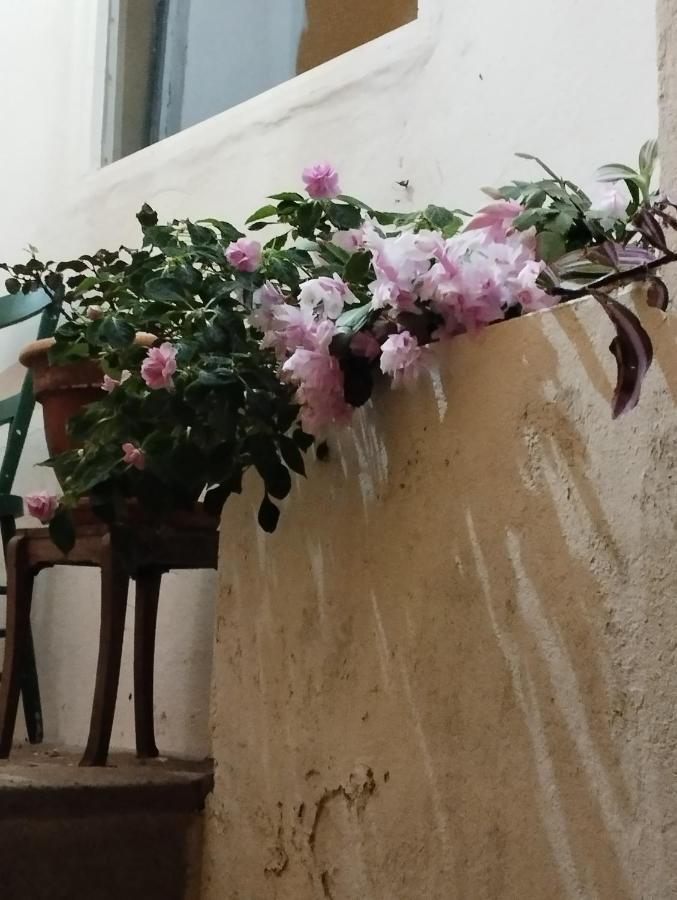 Um Quarto Da Casa Do Monte ヴィラ・フランカ・ド・カンポ エクステリア 写真
